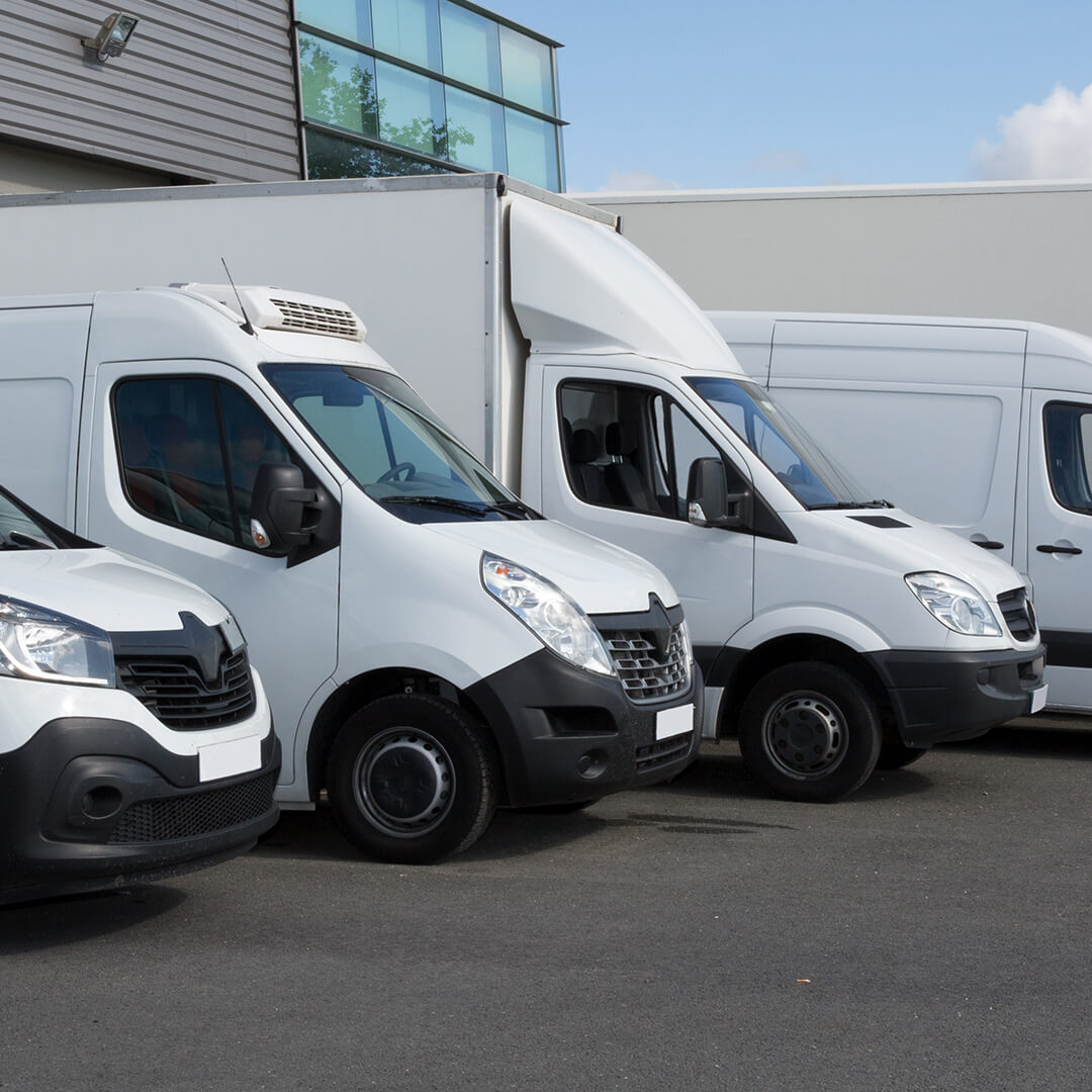 white fleet of trucks and vans