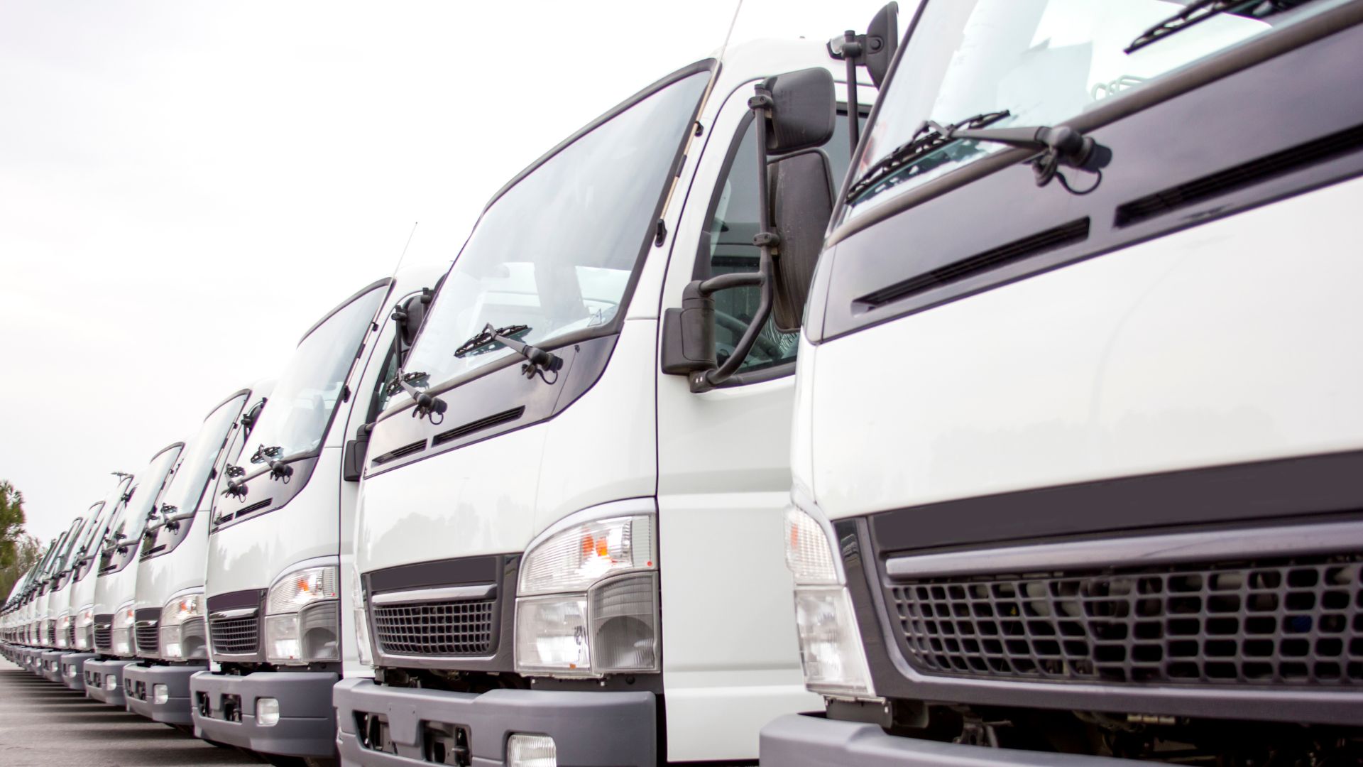 A close-up of a fleet of white vans