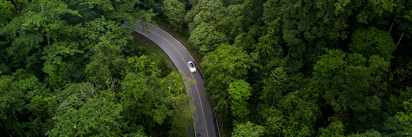 Aeiral shot of a car driving through a road in dense forest
